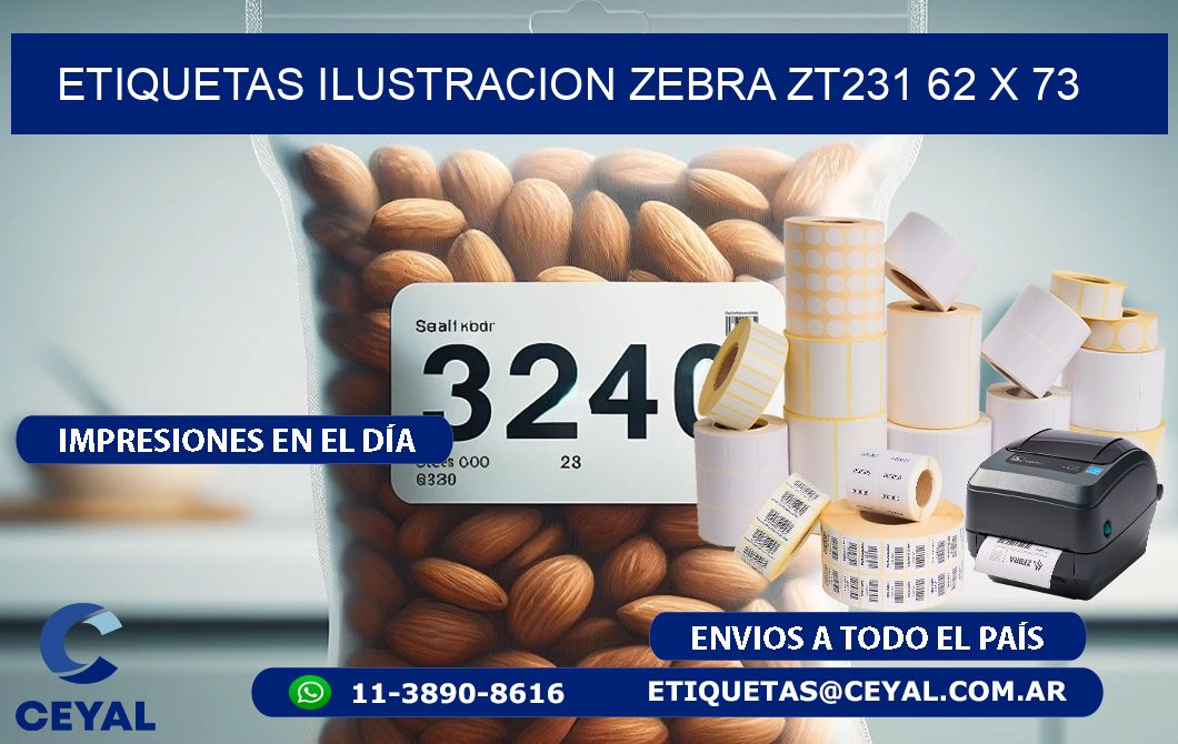 ETIQUETAS ILUSTRACION ZEBRA ZT231 62 x 73