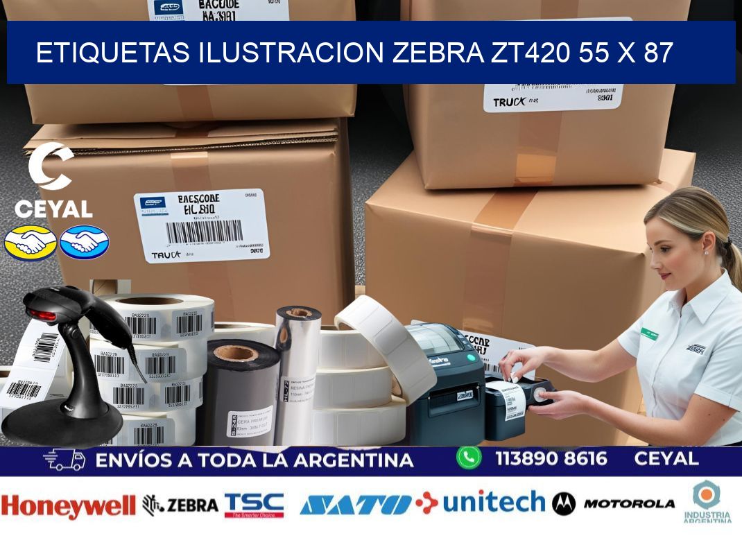 ETIQUETAS ILUSTRACION ZEBRA ZT420 55 x 87
