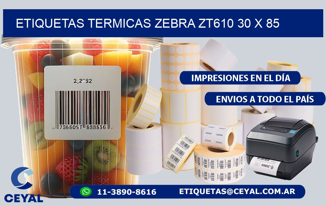 ETIQUETAS TERMICAS ZEBRA ZT610 30 x 85