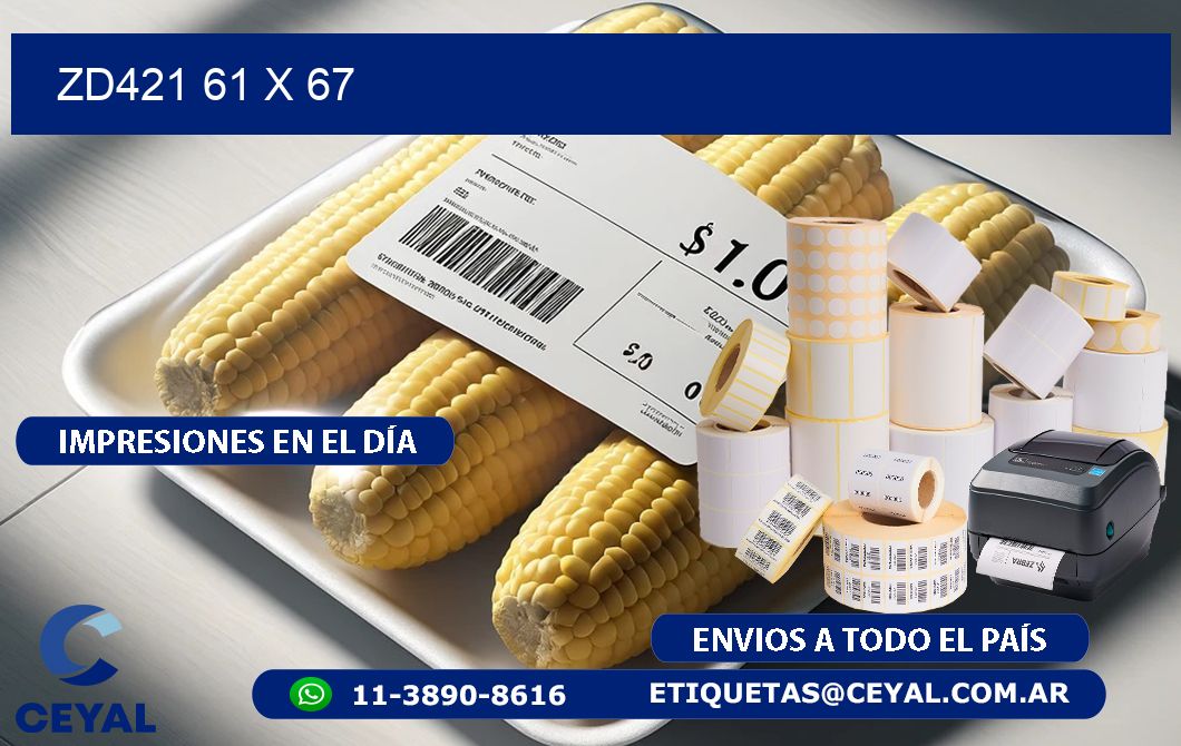 ZD421 61 x 67