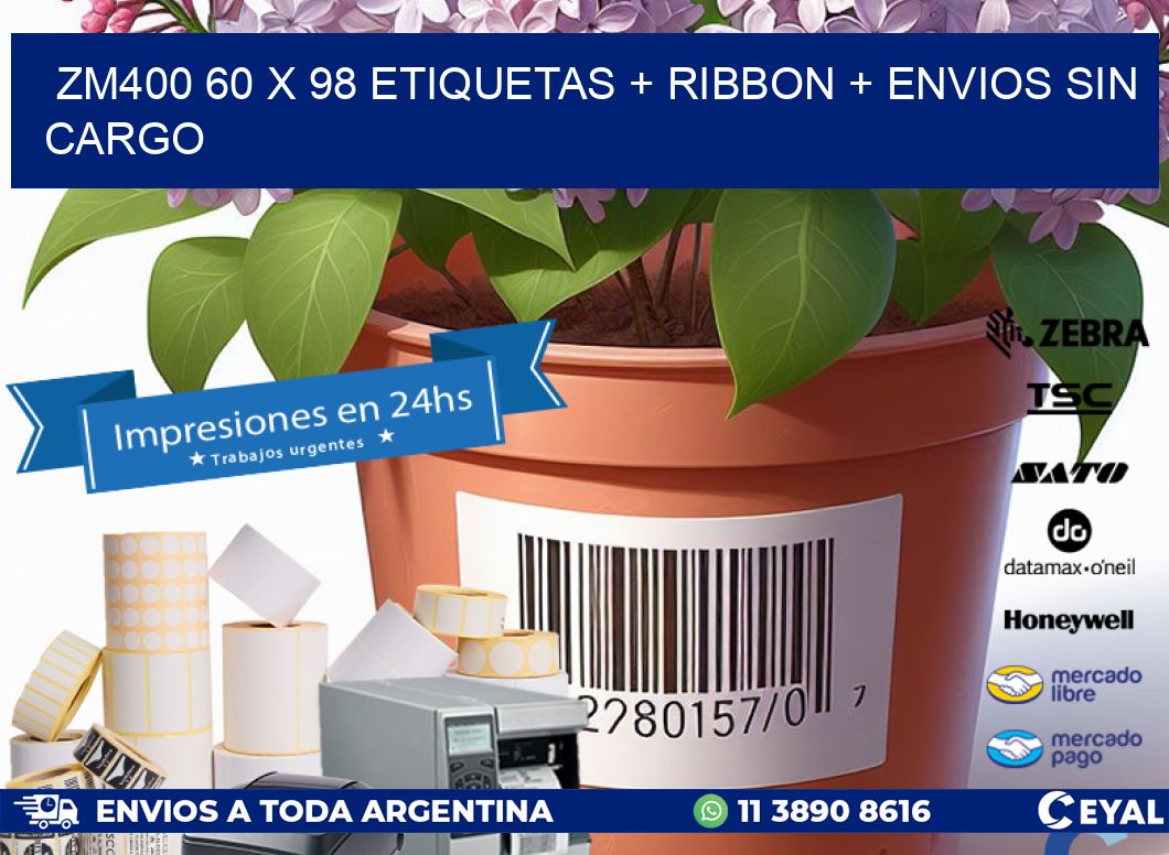 ZM400 60 x 98 etiquetas + ribbon + envios sin cargo