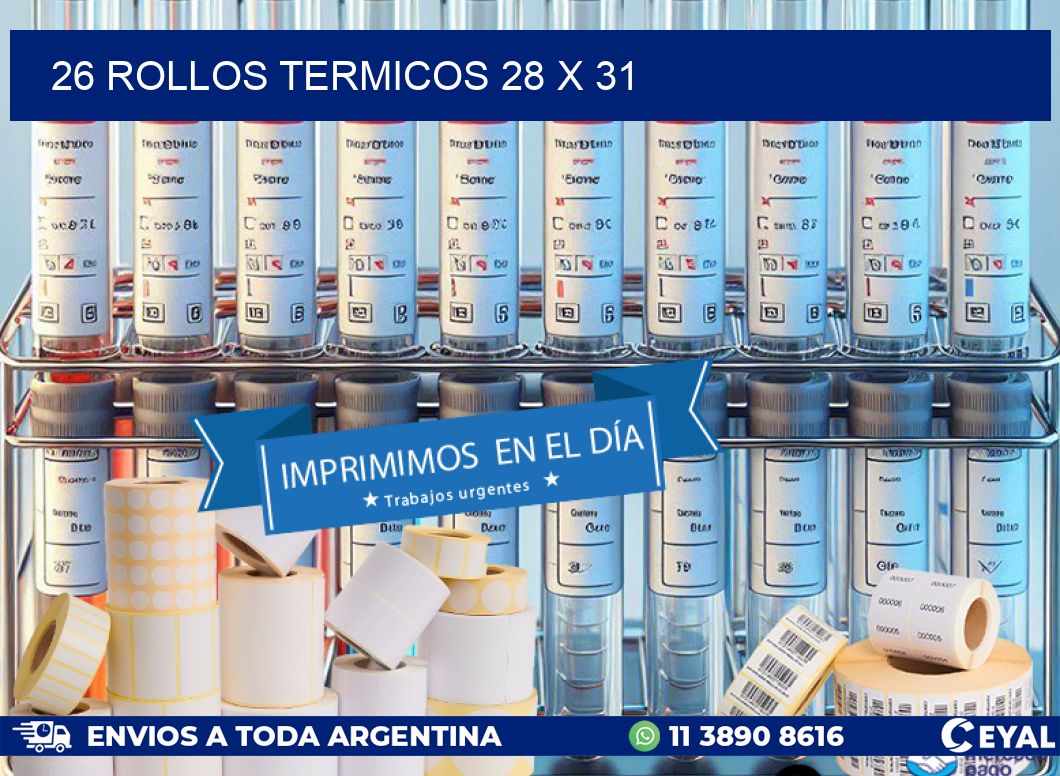 26 ROLLOS TERMICOS 28 x 31