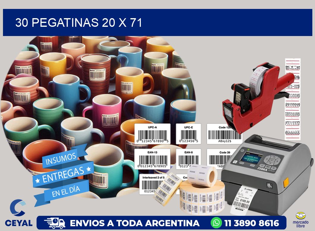 30 PEGATINAS 20 x 71