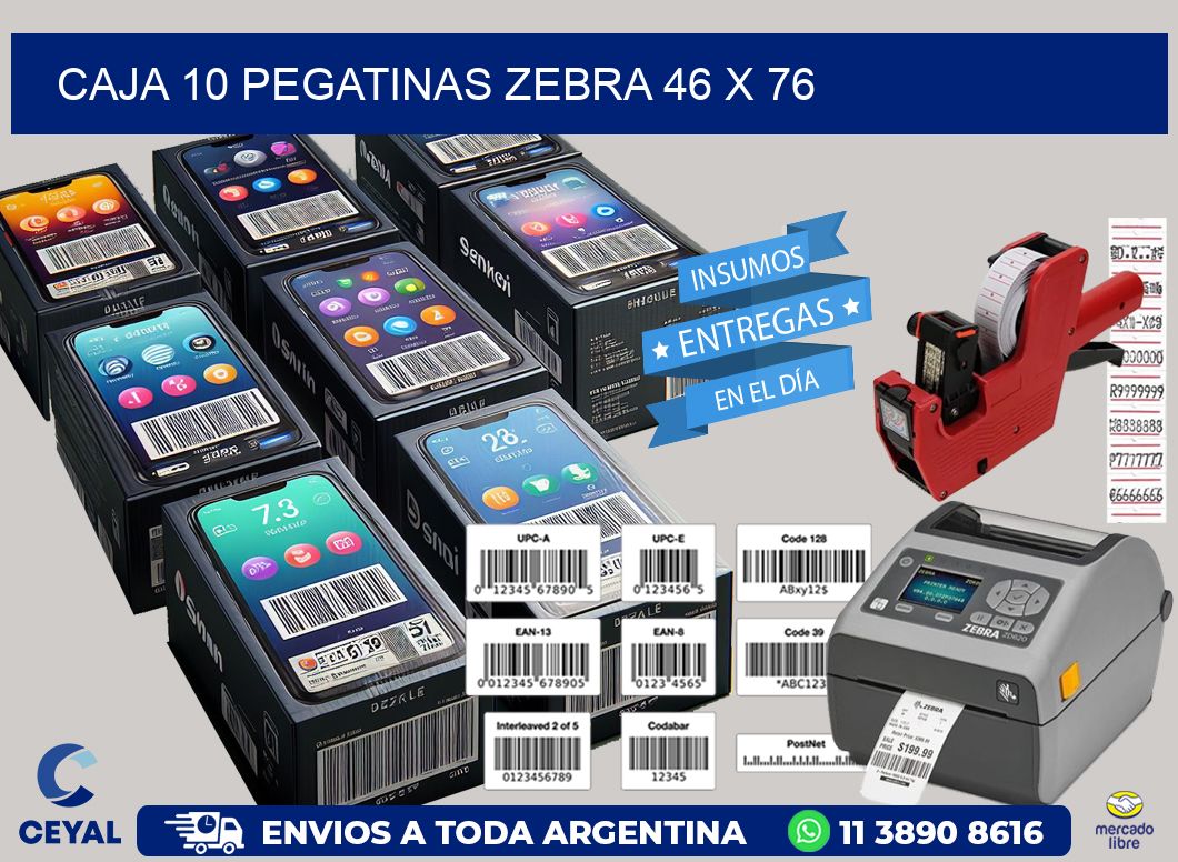 CAJA 10 PEGATINAS ZEBRA 46 x 76