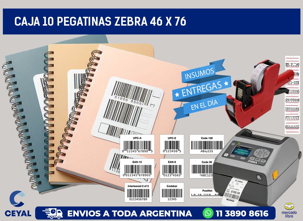 CAJA 10 PEGATINAS ZEBRA 46 x 76