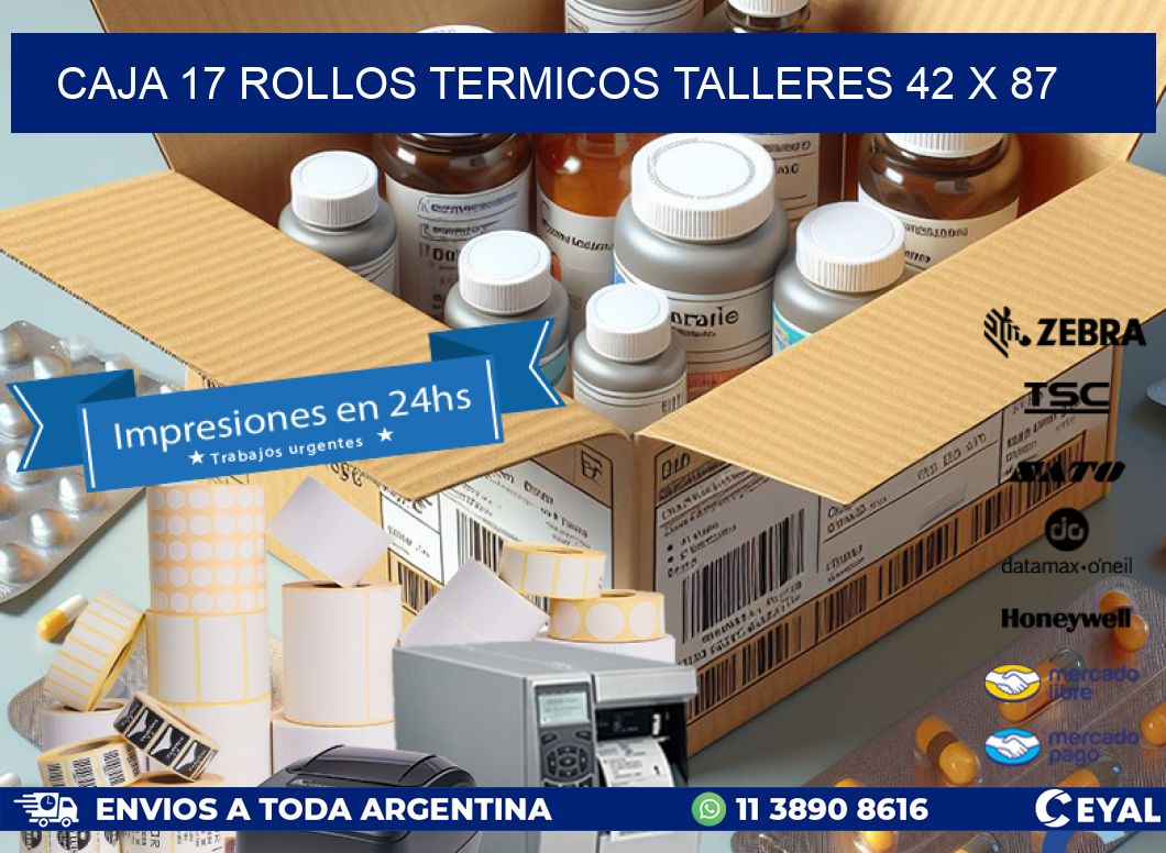 CAJA 17 ROLLOS TERMICOS TALLERES 42 x 87