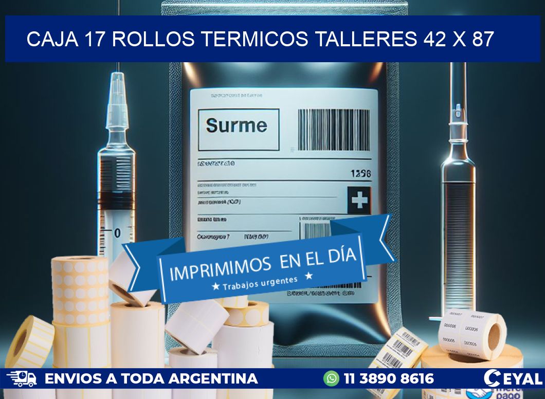 CAJA 17 ROLLOS TERMICOS TALLERES 42 x 87
