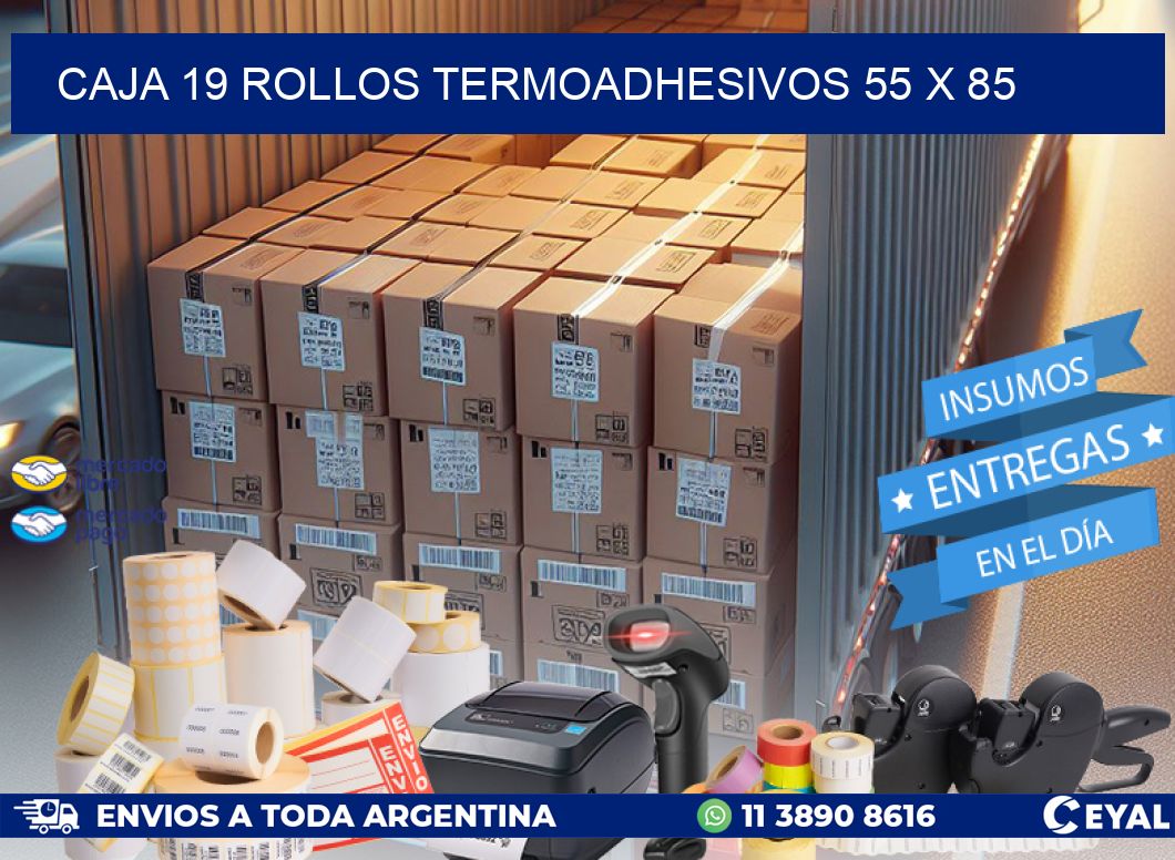CAJA 19 ROLLOS TERMOADHESIVOS 55 x 85