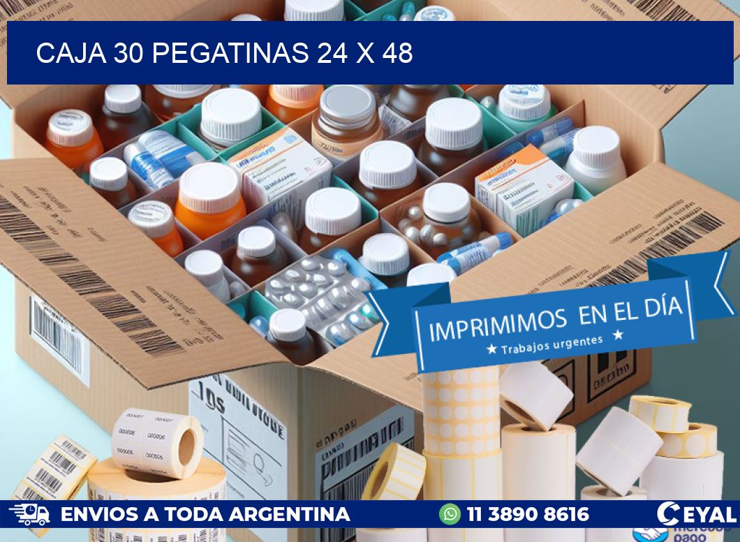 CAJA 30 PEGATINAS 24 x 48