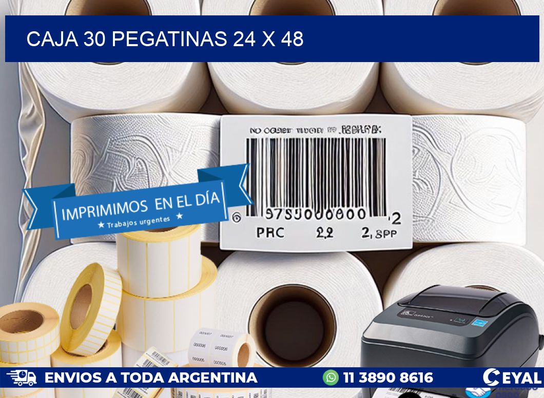 CAJA 30 PEGATINAS 24 x 48