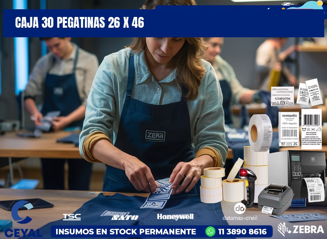 CAJA 30 PEGATINAS 26 x 46