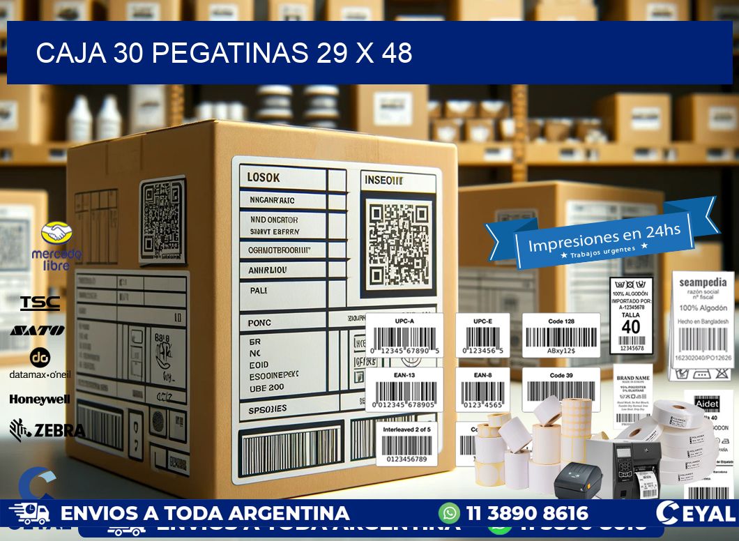 CAJA 30 PEGATINAS 29 x 48