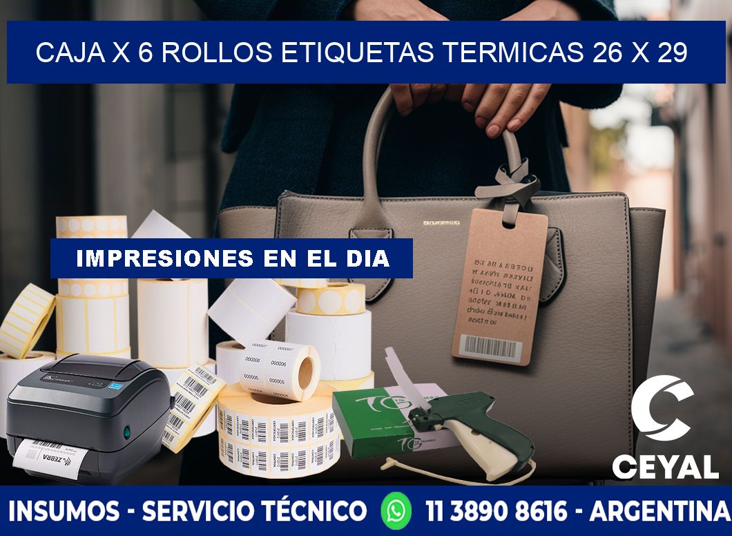 Caja X 6 Rollos Etiquetas termicas 26 x 29