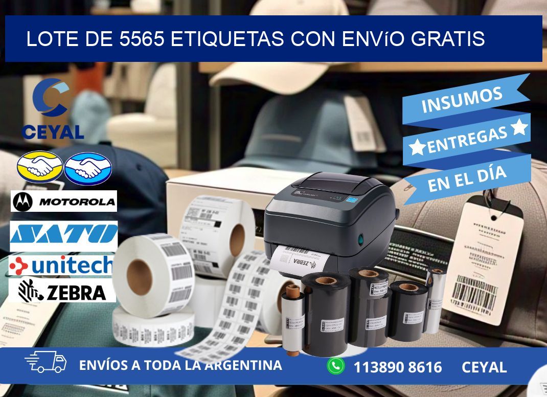 Lote de 5565 etiquetas con envío gratis
