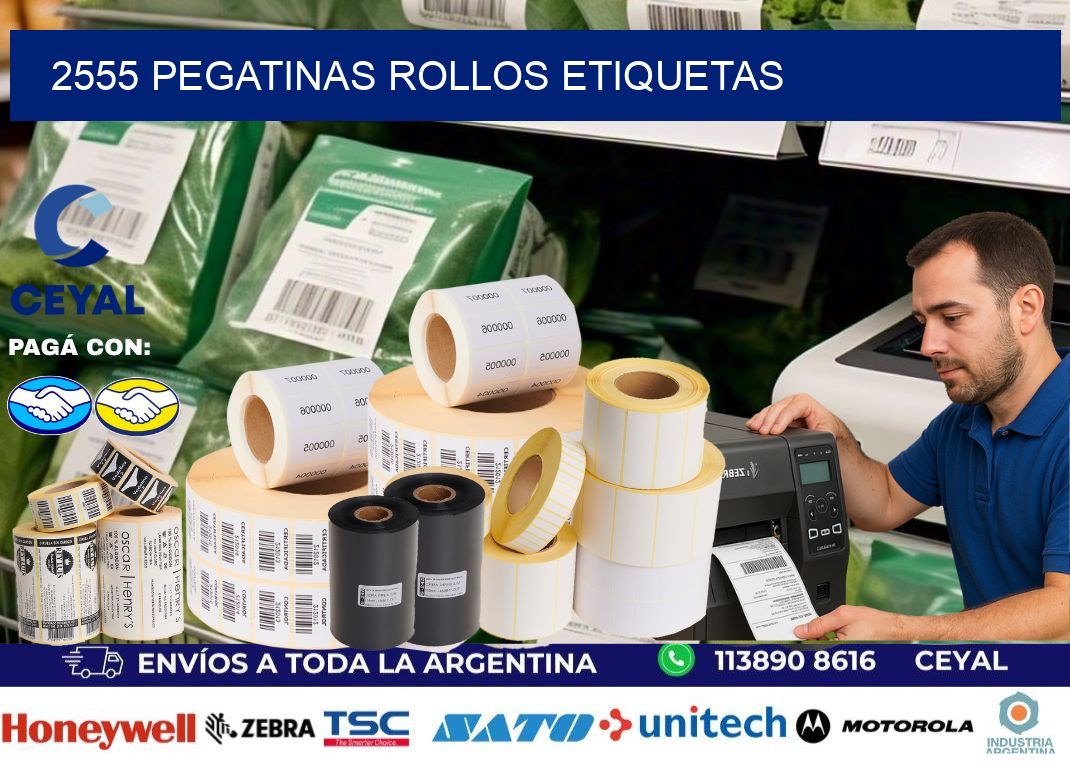 2555 Pegatinas rollos etiquetas