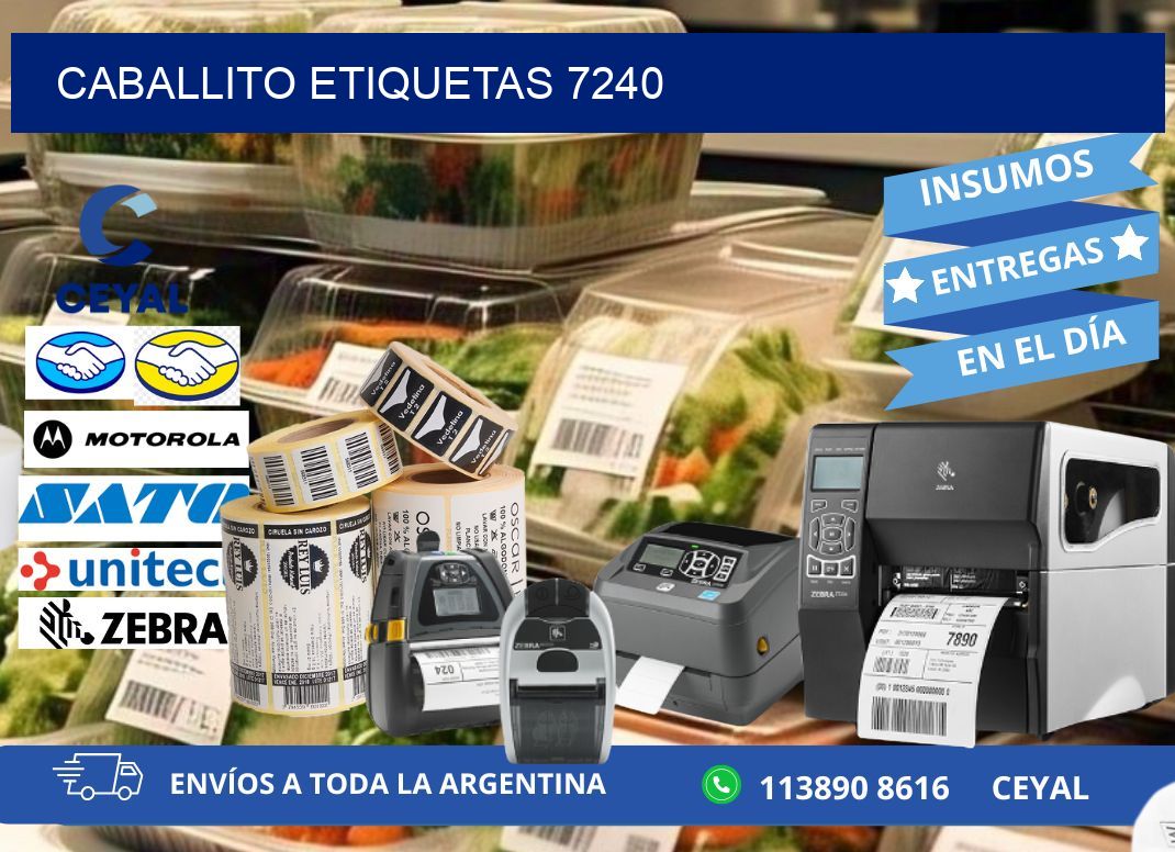 Caballito etiquetas 7240