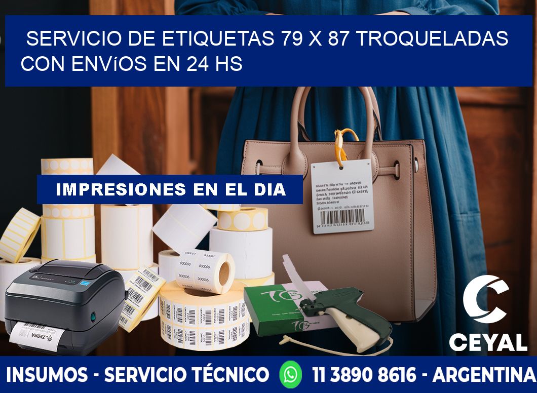 Servicio de etiquetas 79 x 87 troqueladas con envíos en 24 hs