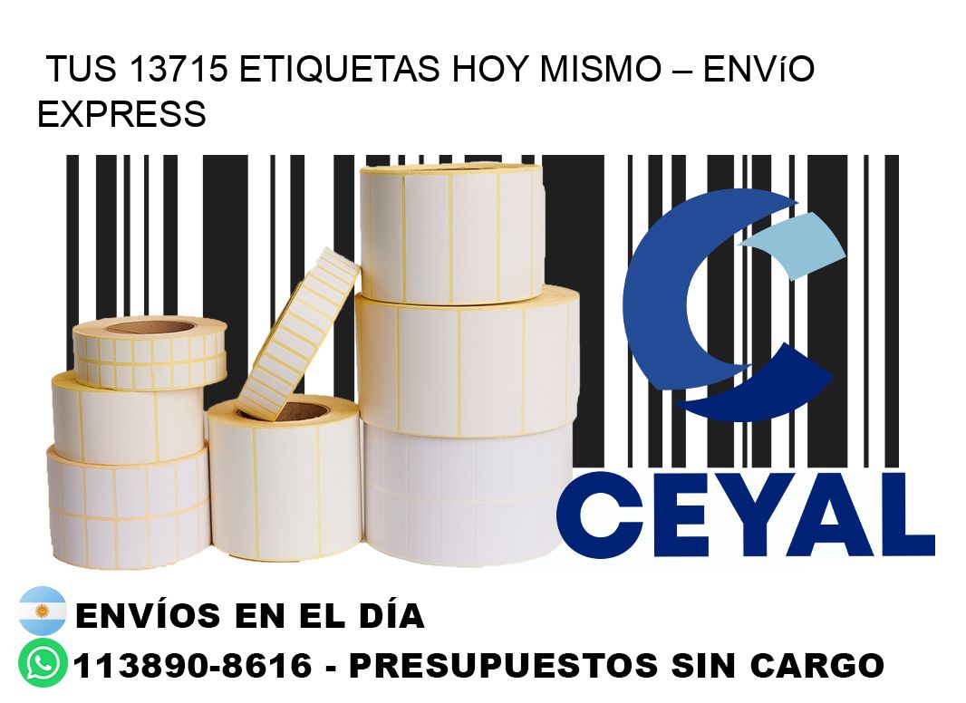 Tus 13715 Etiquetas Hoy Mismo – Envío Express