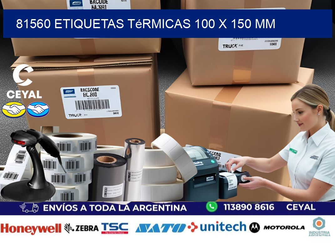 81560 Etiquetas Térmicas 100 X 150 Mm