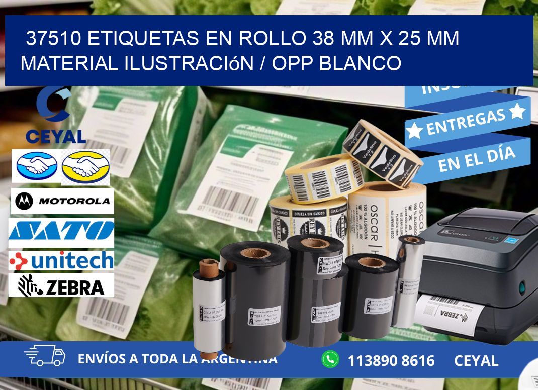 37510 Etiquetas en rollo 38 mm x 25 mm material Ilustración / OPP Blanco