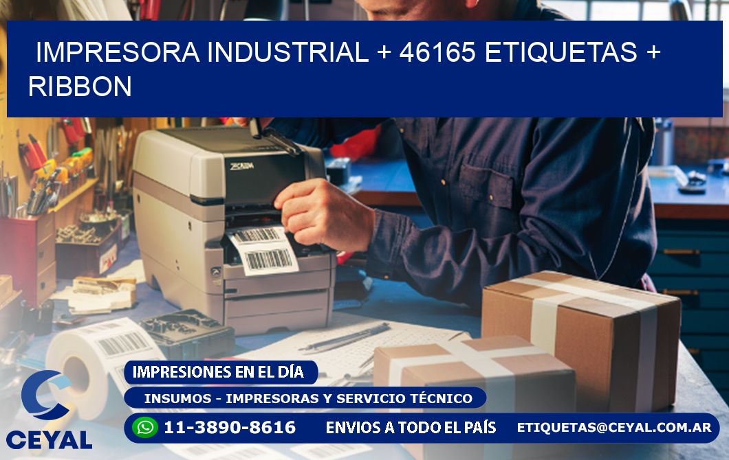 impresora industrial + 46165 etiquetas + ribbon