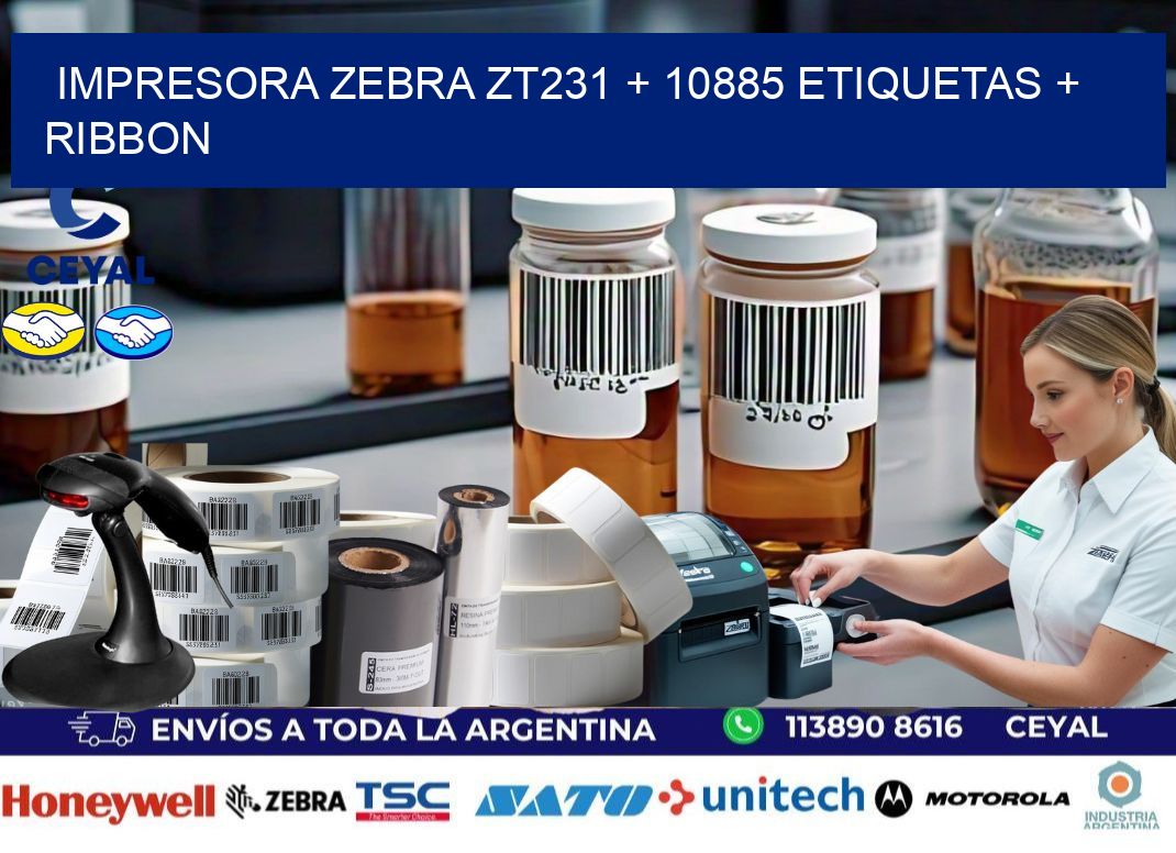 impresora zebra zt231 + 10885 etiquetas + ribbon