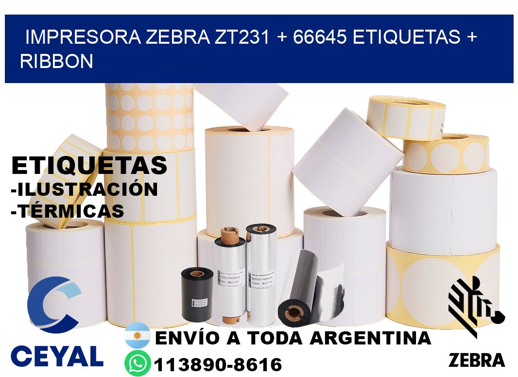 impresora zebra zt231 + 66645 etiquetas + ribbon