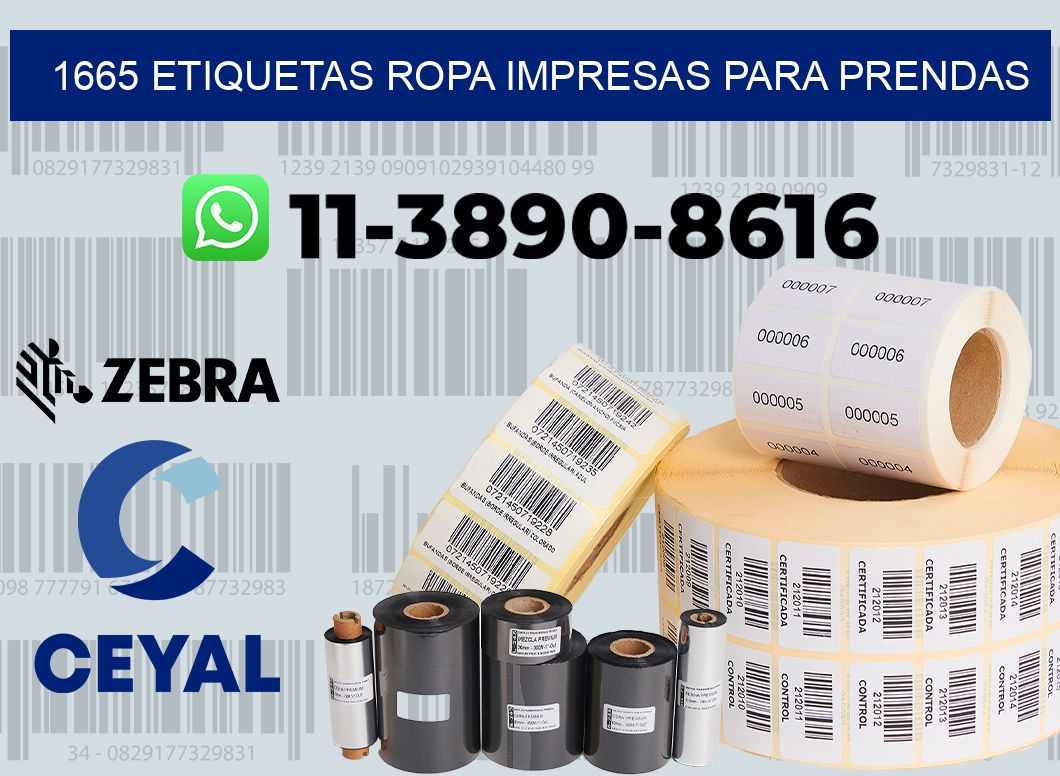 1665 Etiquetas ropa impresas para prendas
