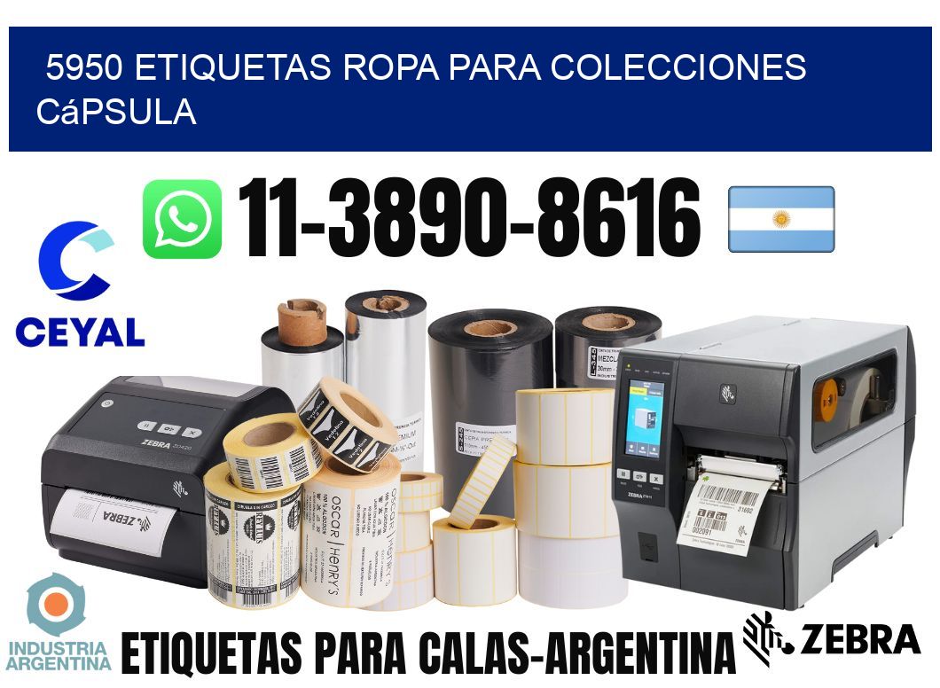 5950 Etiquetas ropa para colecciones cápsula