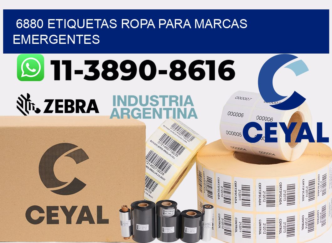6880 Etiquetas ropa para marcas emergentes