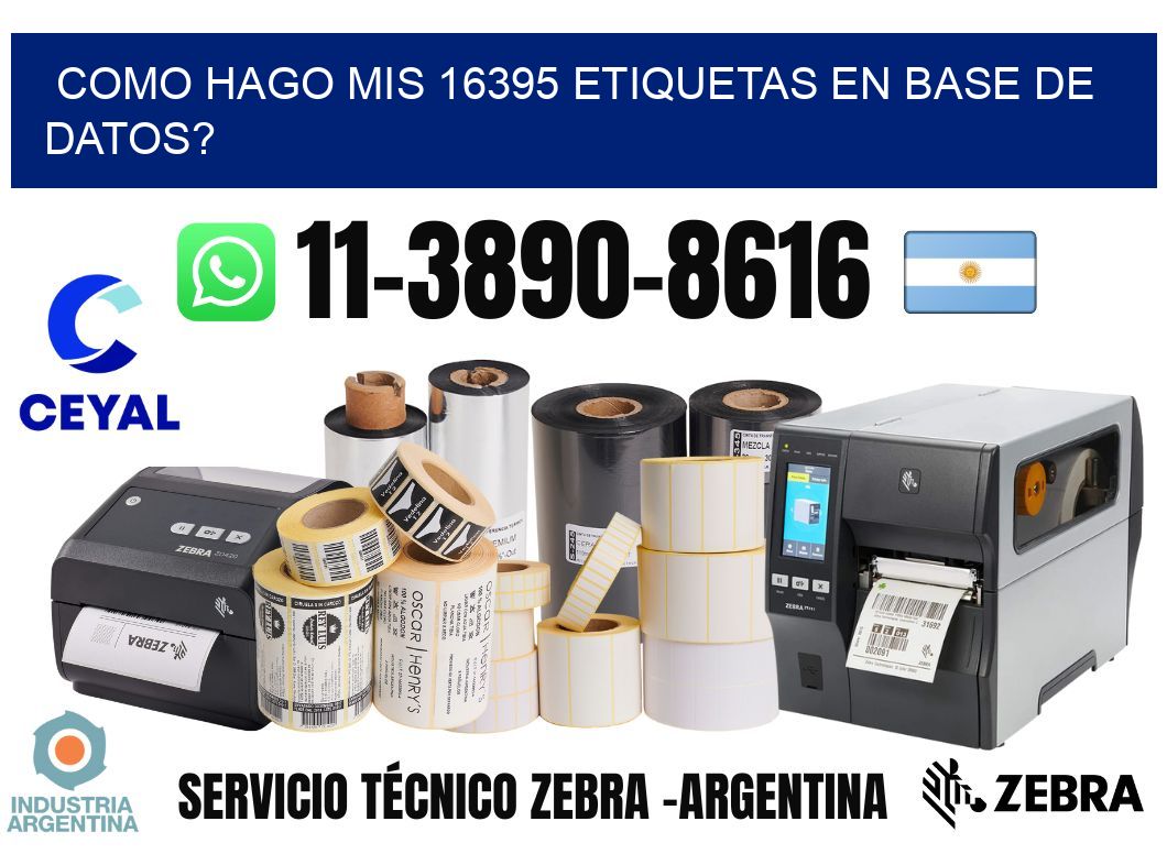 como hago mis 16395 etiquetas en base de datos?