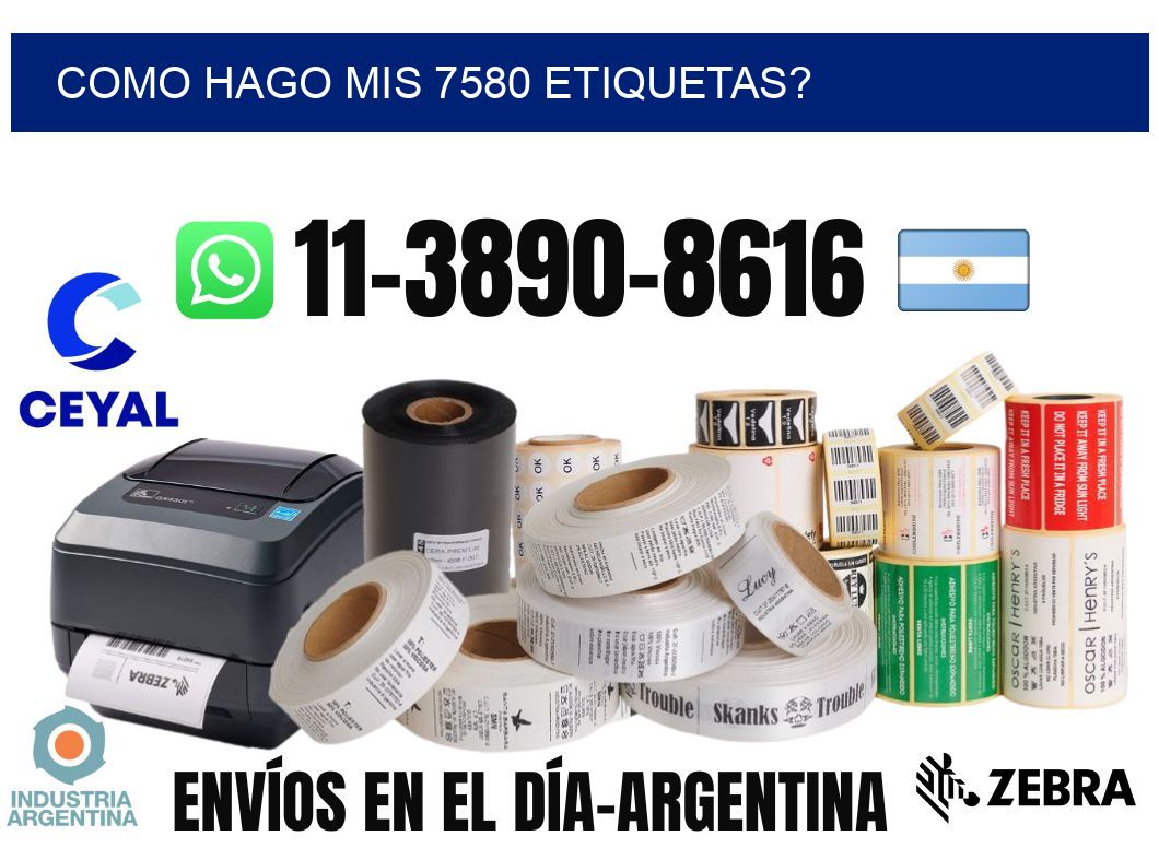 como hago mis 7580 etiquetas?