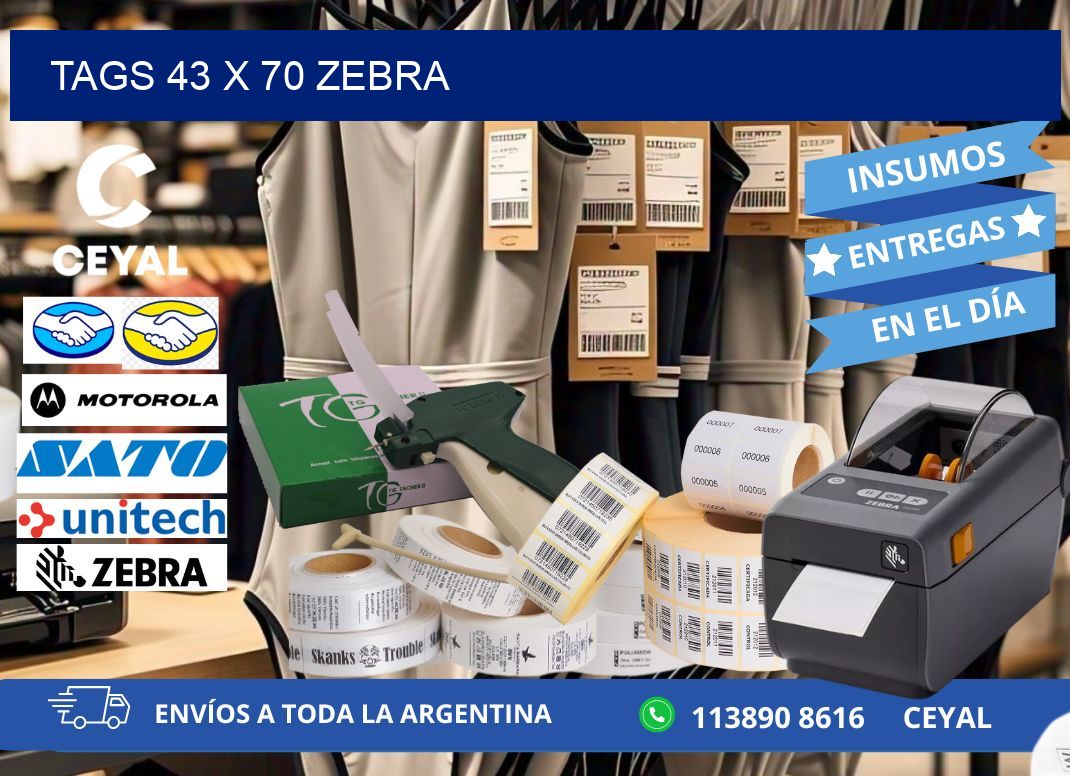 tags 43 x 70 zebra