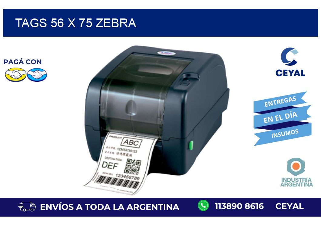 tags 56 x 75 zebra