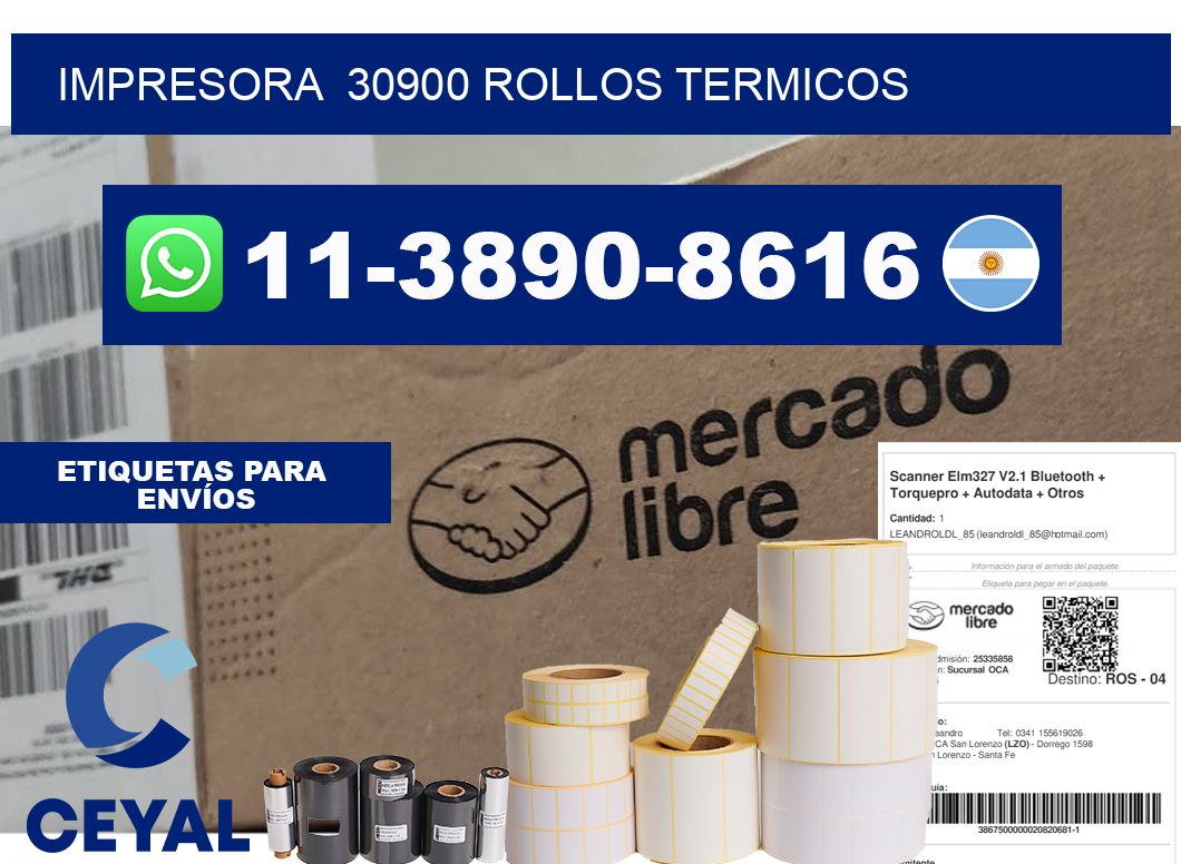 impresora  30900 rollos termicos