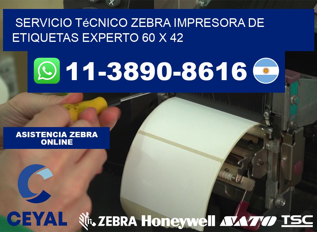 Servicio Técnico Zebra Impresora de Etiquetas Experto 60 x 42