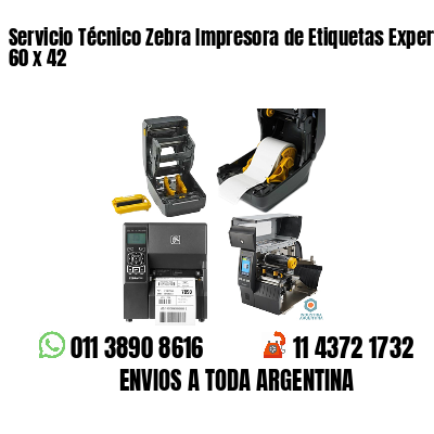 Servicio Técnico Zebra Impresora de Etiquetas Experto 60 x 42