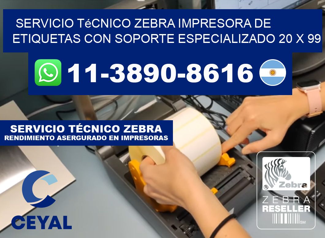 Servicio Técnico Zebra Impresora de Etiquetas con Soporte Especializado 20 x 99