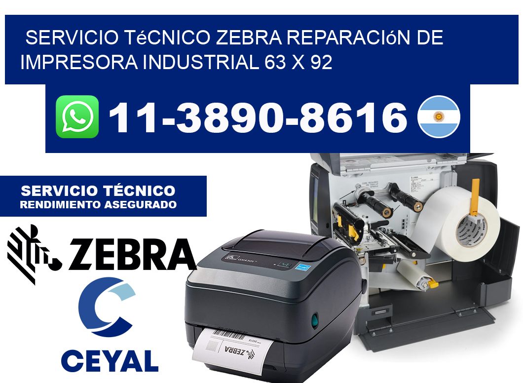 Servicio Técnico Zebra Reparación de Impresora Industrial 63 x 92