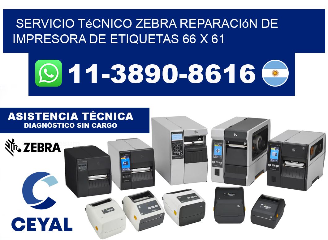 Servicio Técnico Zebra Reparación de Impresora de Etiquetas 66 x 61