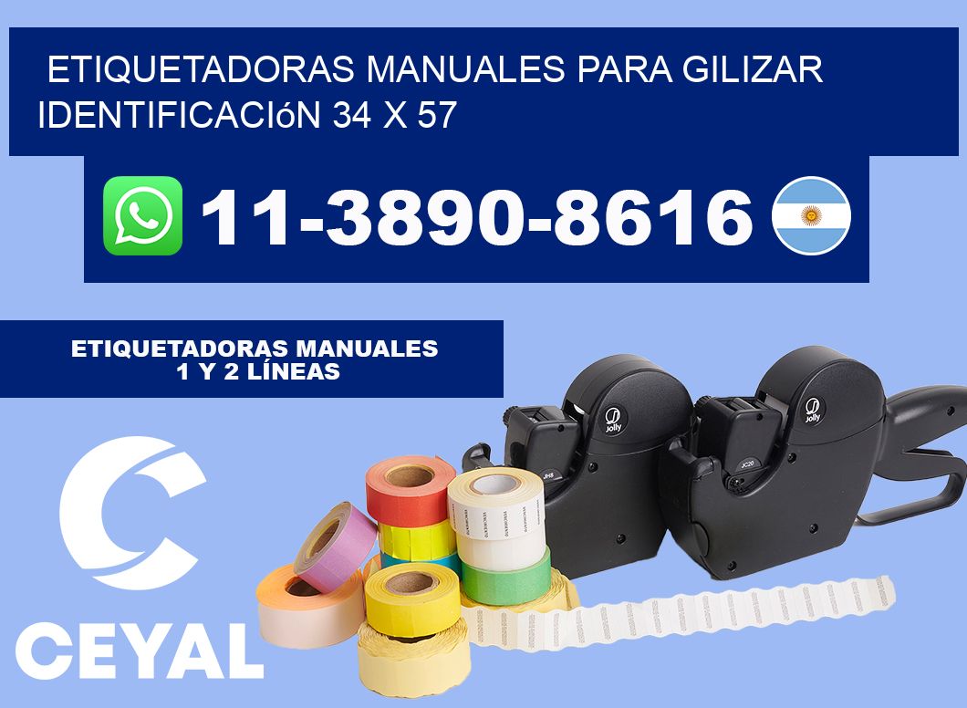 etiquetadoras manuales para gilizar identificación 34 x 57