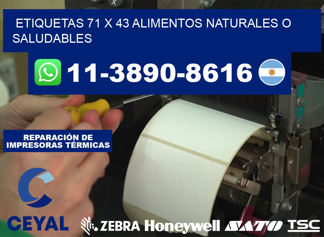 etiquetas 71 x 43 alimentos naturales o saludables