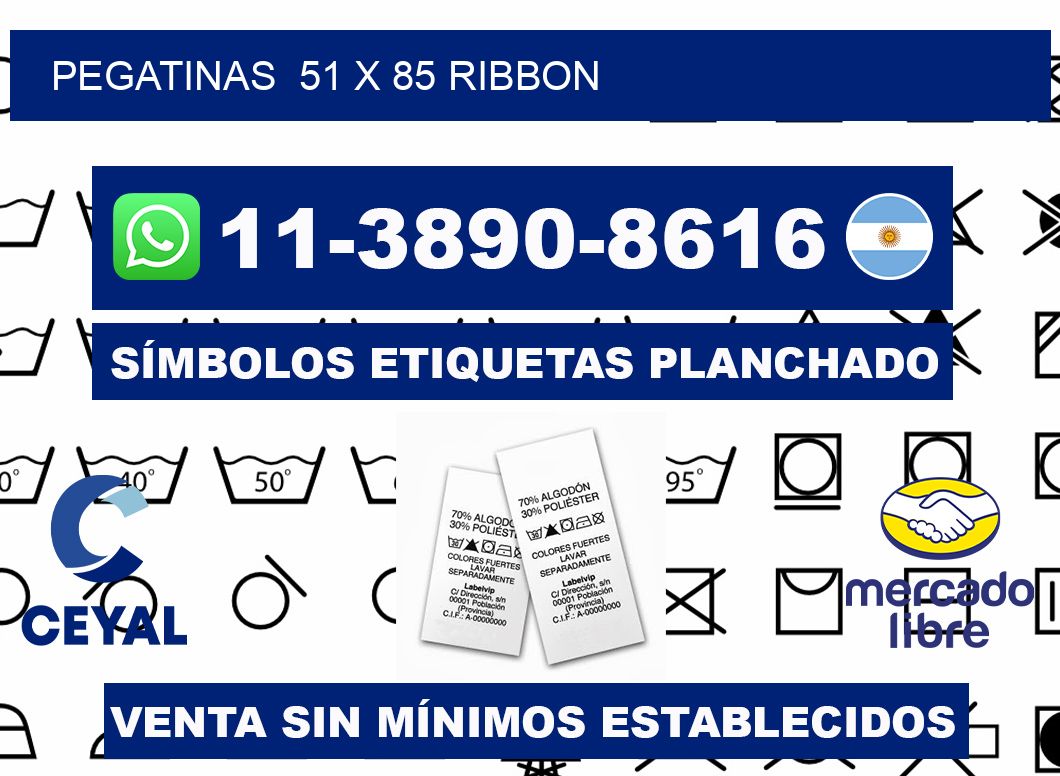 pegatinas  51 x 85 ribbon