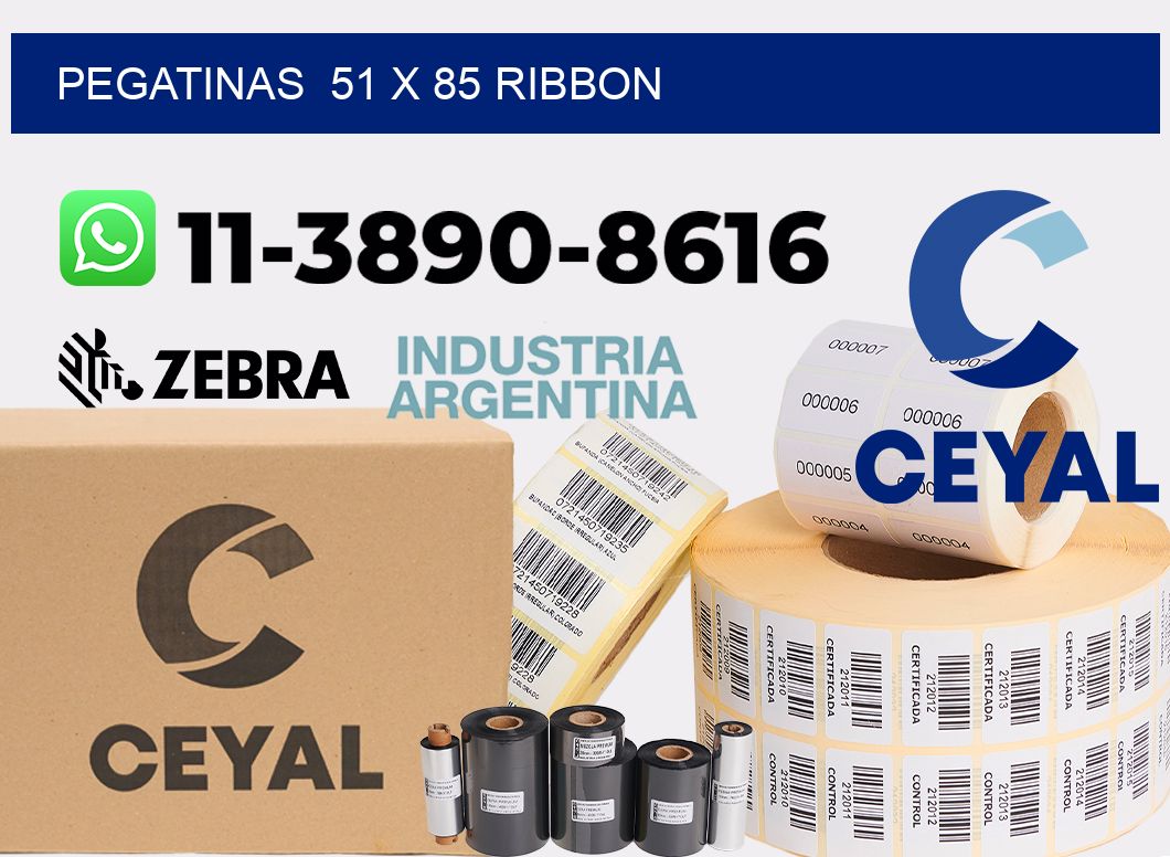 pegatinas  51 x 85 ribbon