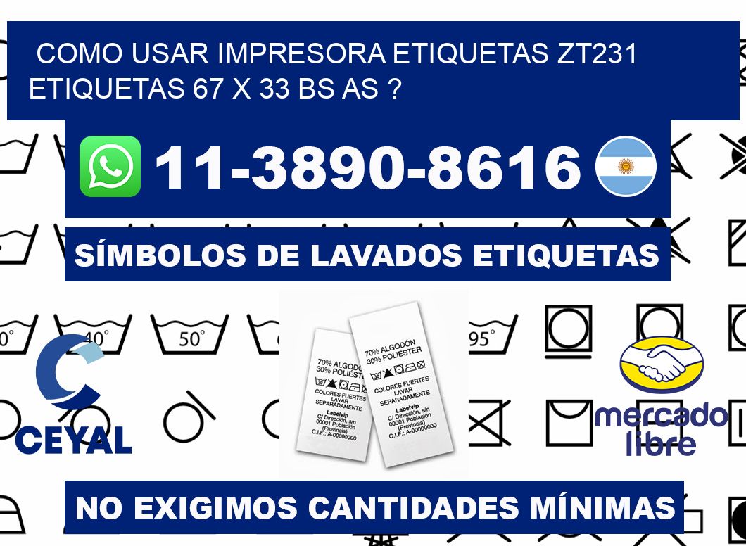 como usar impresora etiquetas zt231 etiquetas 67 x 33 BS AS ?