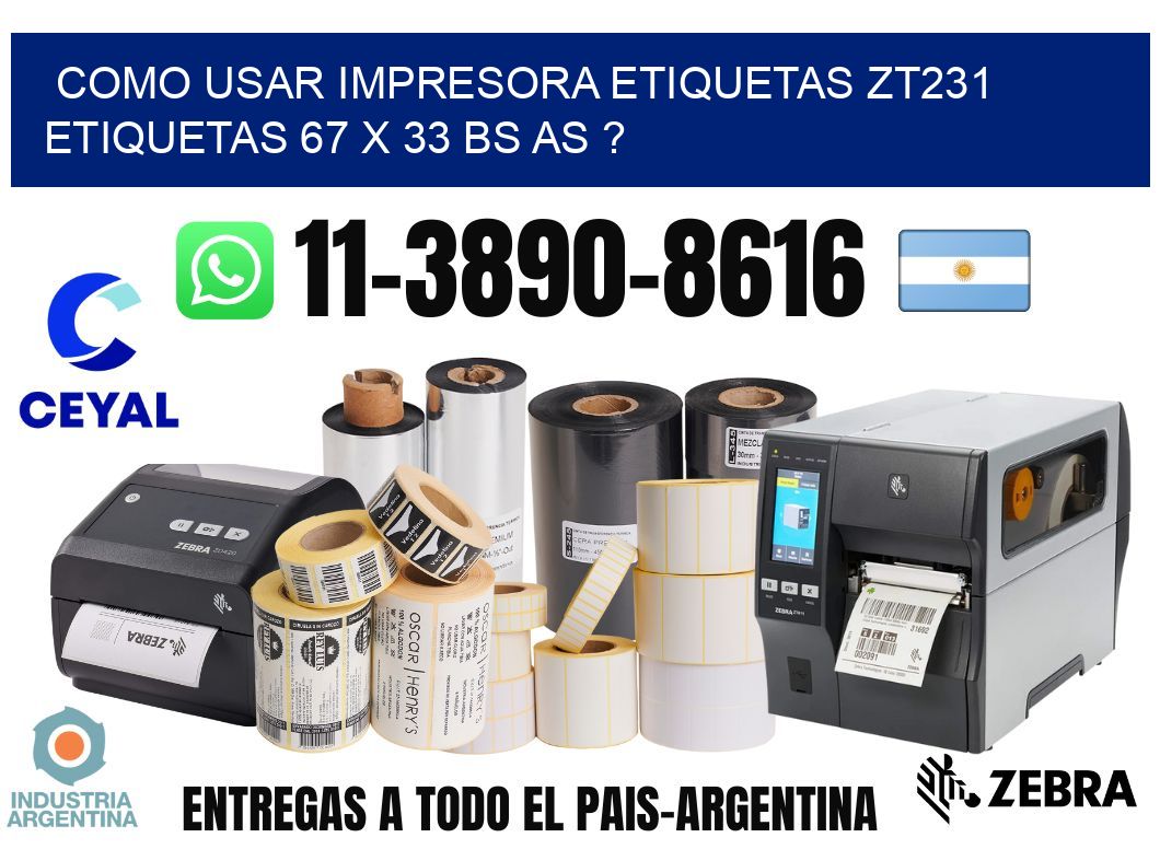 como usar impresora etiquetas zt231 etiquetas 67 x 33 BS AS ?