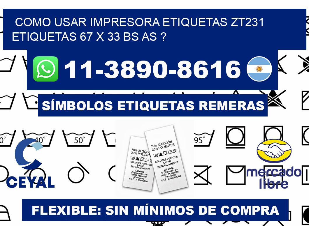 como usar impresora etiquetas zt231 etiquetas 67 x 33 BS AS ?