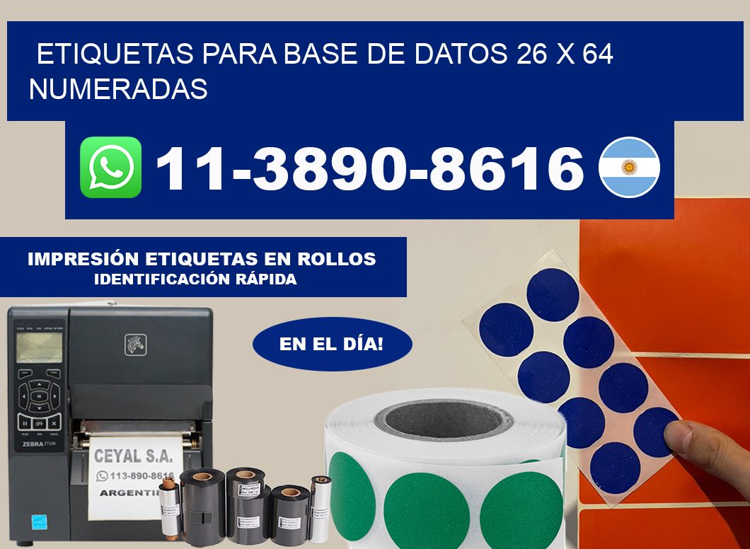 etiquetas para base de datos 26 x 64 numeradas