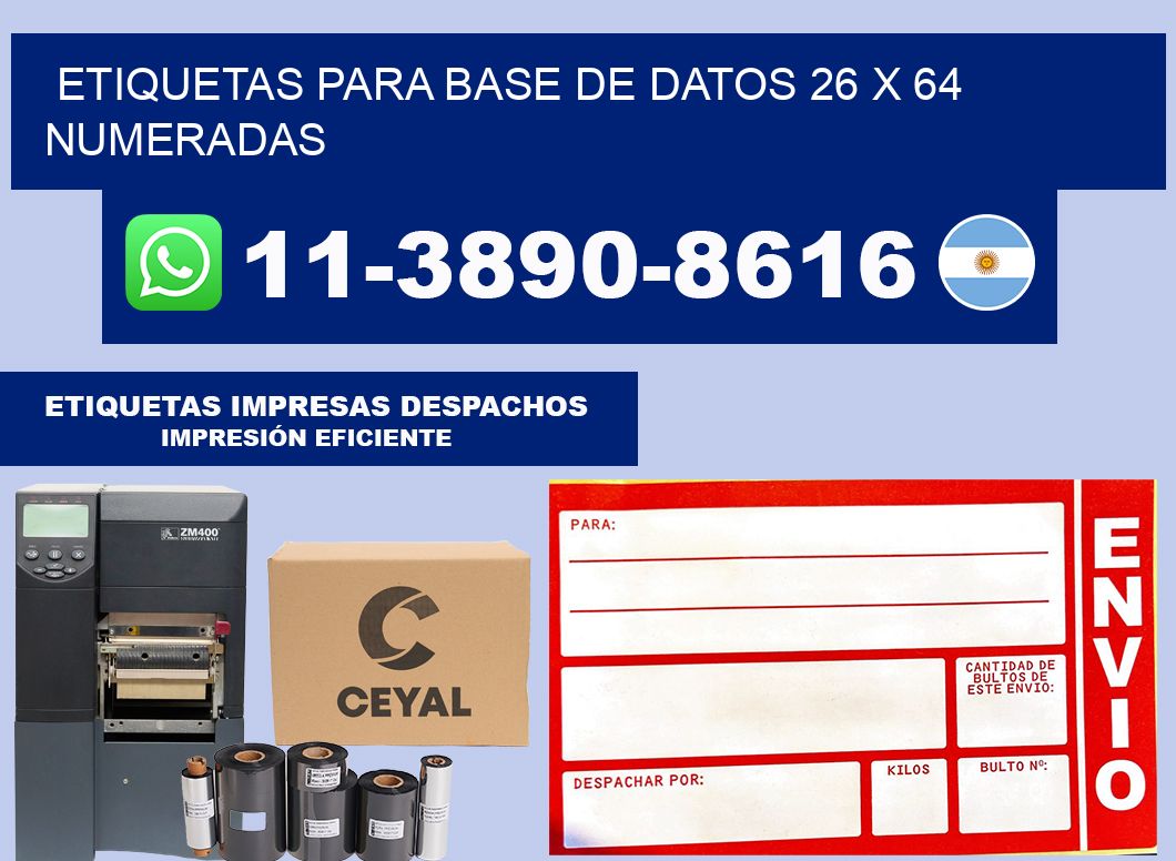 etiquetas para base de datos 26 x 64 numeradas