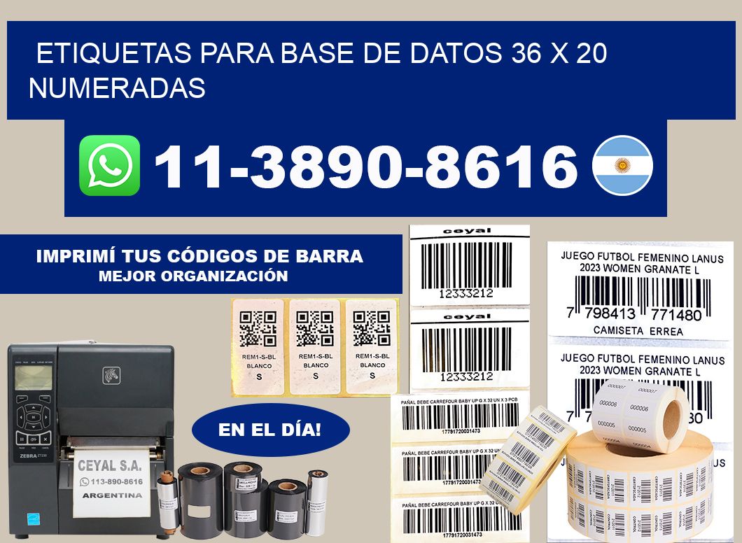 etiquetas para base de datos 36 x 20 numeradas